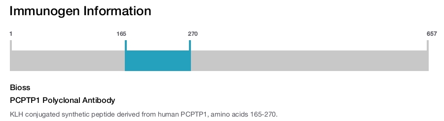 PCPTP1 Polyclonal Antibody