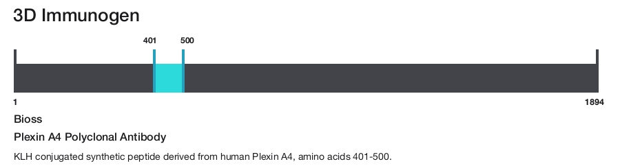 Plexin A4 Polyclonal Antibody