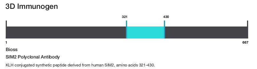 SIM2 Polyclonal Antibody