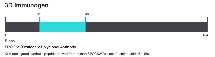 SPOCK2/Testican 2 Polyclonal Antibody