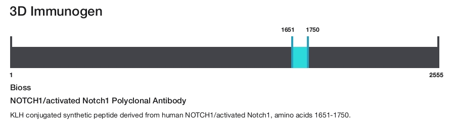 NOTCH1/activated Notch1 Polyclonal Antibody