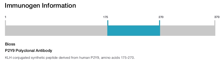 P2Y9 Polyclonal Antibody