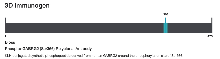 Phospho-GABRG2 (Ser366) Polyclonal Antibody