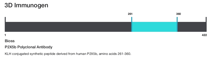 P2X5b Polyclonal Antibody