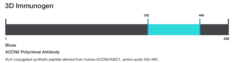 ACCN2 Polyclonal Antibody