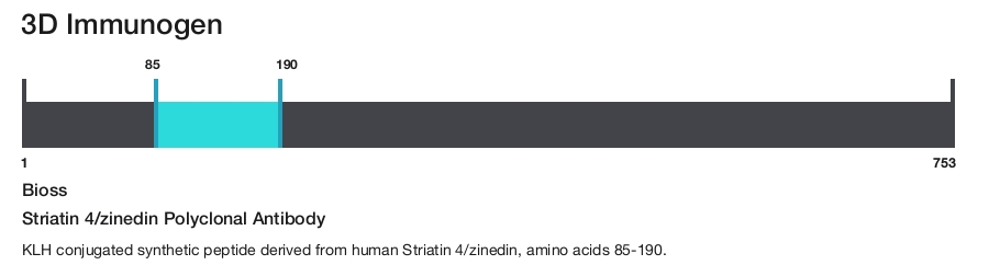 Striatin 4/zinedin Polyclonal Antibody