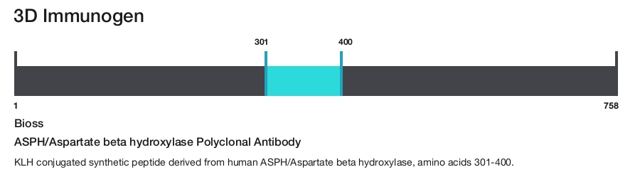 ASPH/Aspartate beta hydroxylase Polyclonal Antibody