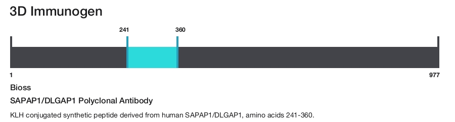 SAPAP1/DLGAP1 Polyclonal Antibody