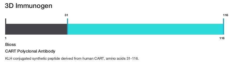 CART Polyclonal Antibody