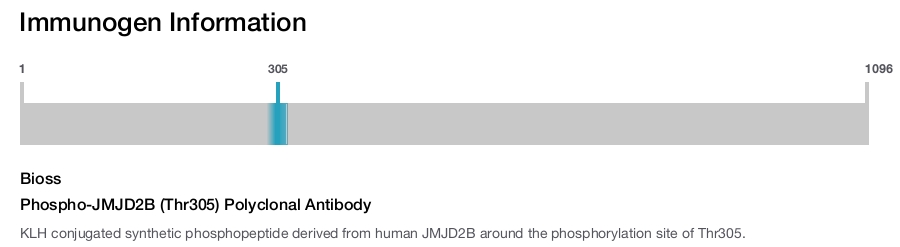 Phospho-JMJD2B (Thr305) Polyclonal Antibody