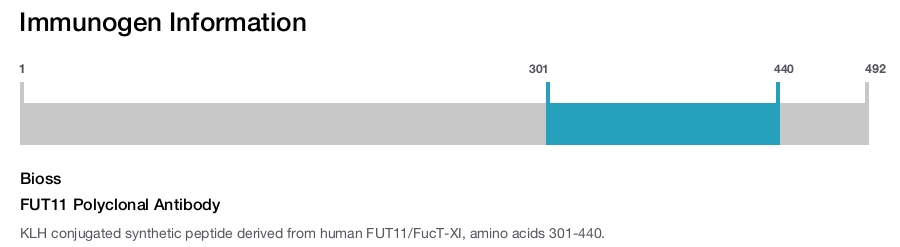 FUT11 Polyclonal Antibody