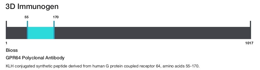 GPR64 Polyclonal Antibody
