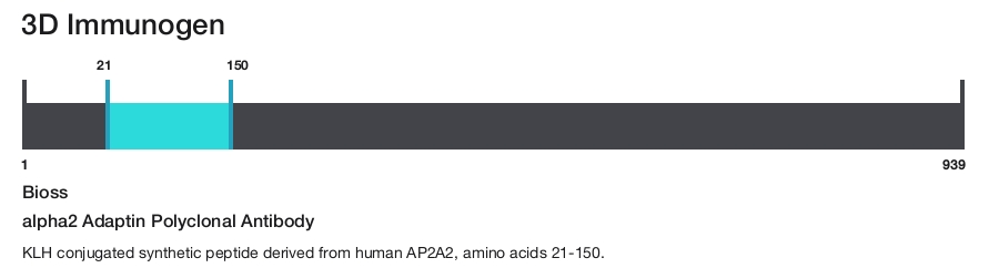alpha2 Adaptin Polyclonal Antibody