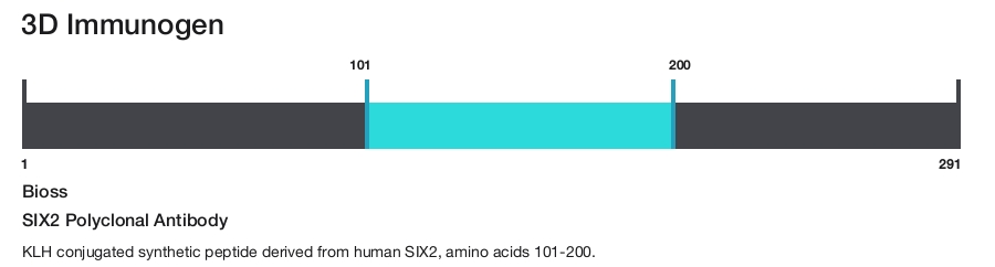 SIX2 Polyclonal Antibody