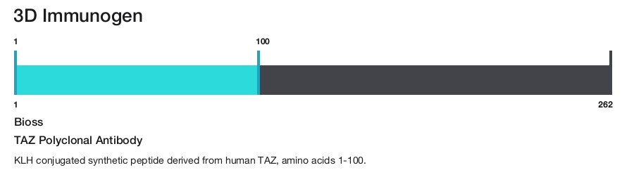 TAZ Polyclonal Antibody