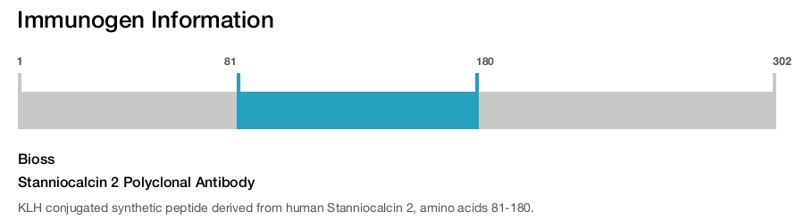Stanniocalcin 2 Polyclonal Antibody