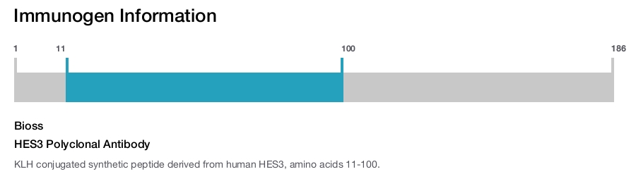 HES3 Polyclonal Antibody