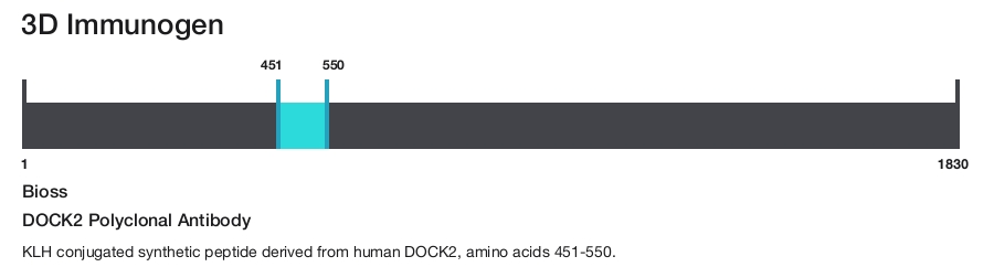 DOCK2 Polyclonal Antibody