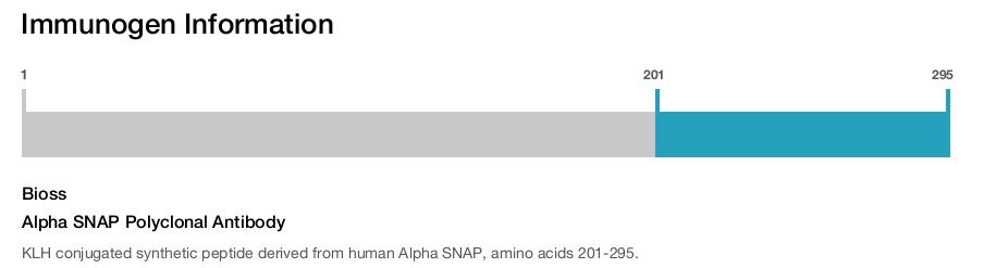 Alpha SNAP Polyclonal Antibody