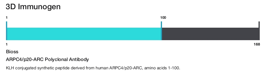 ARPC4/p20-ARC Polyclonal Antibody