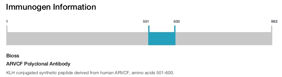 ARVCF Polyclonal Antibody