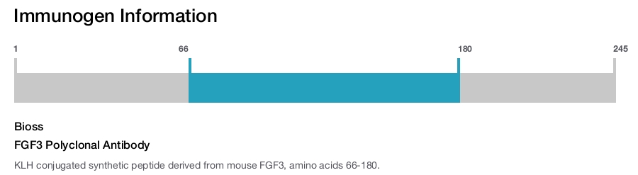 FGF3 Polyclonal Antibody