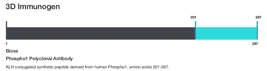 Phospho1 Polyclonal Antibody