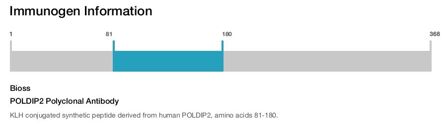 POLDIP2 Polyclonal Antibody