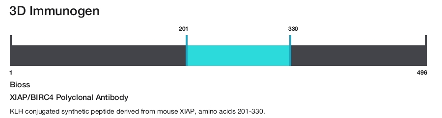XIAP/BIRC4 Polyclonal Antibody