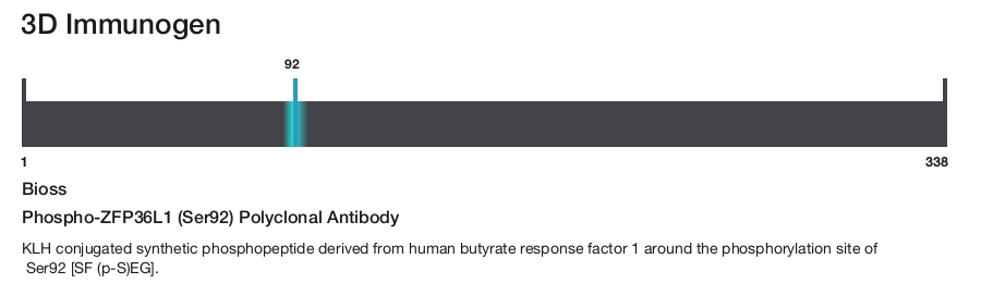 Phospho-ZFP36L1 (Ser92) Polyclonal Antibody