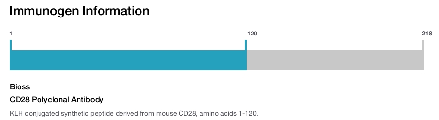 CD28 Polyclonal Antibody