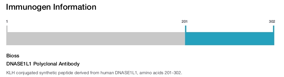 DNASE1L1 Polyclonal Antibody