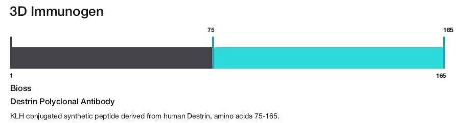 Destrin Polyclonal Antibody