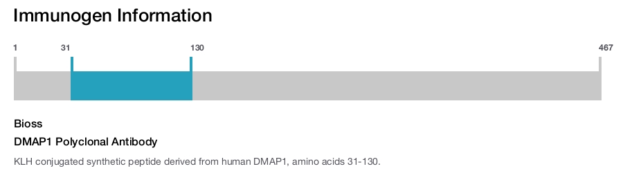 DMAP1 Polyclonal Antibody