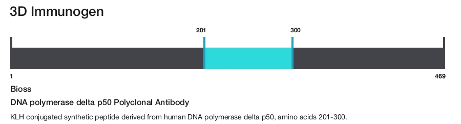 DNA polymerase delta p50 Polyclonal Antibody