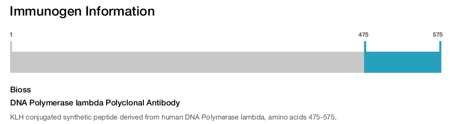 DNA Polymerase lambda Polyclonal Antibody