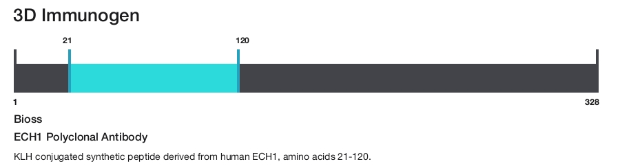 ECH1 Polyclonal Antibody