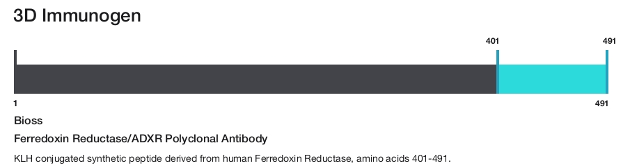 Ferredoxin Reductase/ADXR Polyclonal Antibody