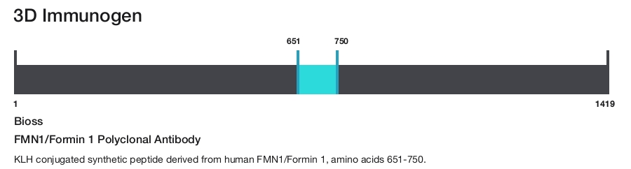 FMN1/Formin 1 Polyclonal Antibody