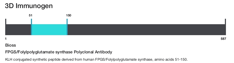 FPGS/Folylpolyglutamate synthase Polyclonal Antibody