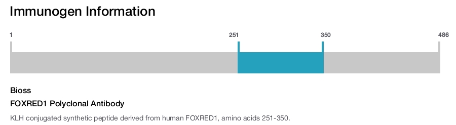 FOXRED1 Polyclonal Antibody