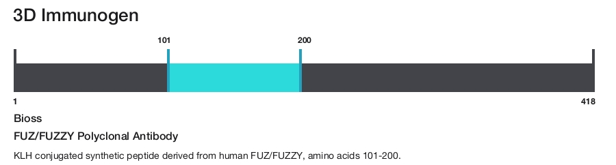 FUZ/FUZZY Polyclonal Antibody