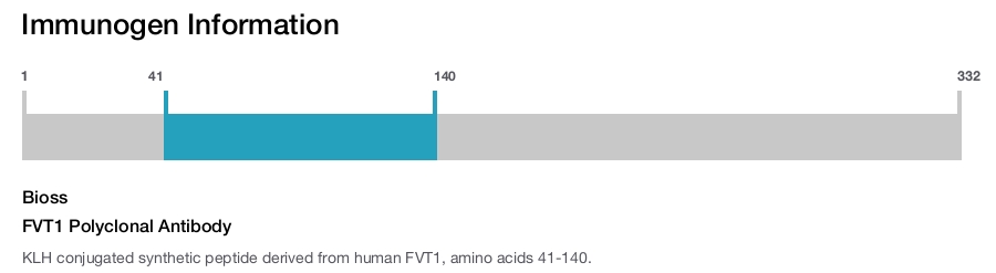 FVT1 Polyclonal Antibody