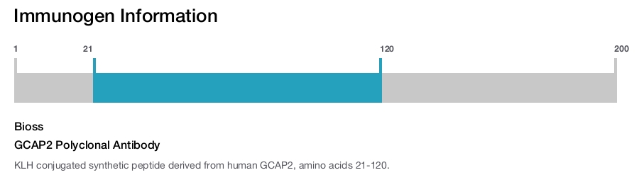 GCAP2 Polyclonal Antibody