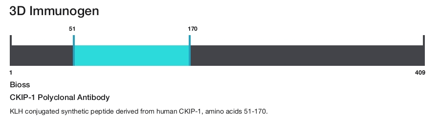 CKIP-1 Polyclonal Antibody