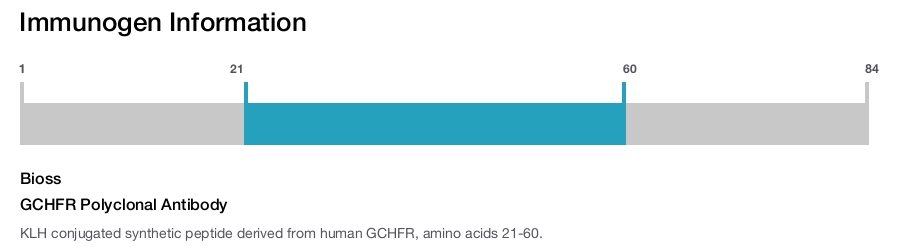GCHFR Polyclonal Antibody