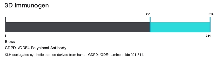 GDPD1/GDE4 Polyclonal Antibody