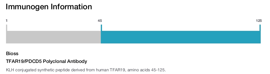 TFAR19/PDCD5 Polyclonal Antibody