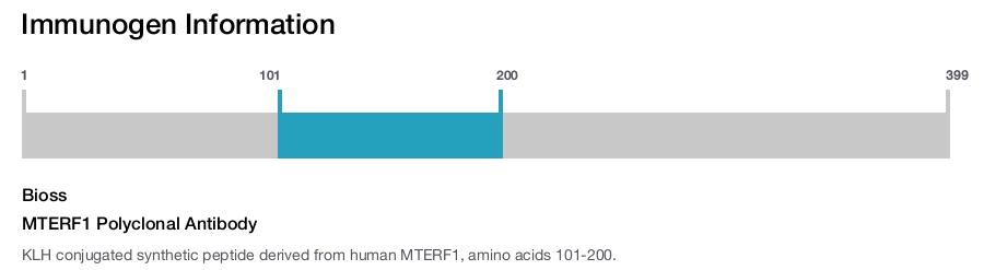 MTERF1 Polyclonal Antibody
