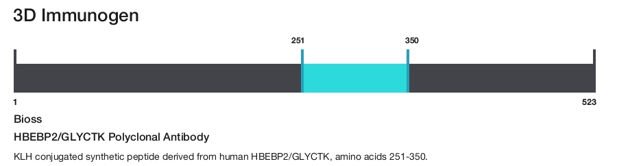 HBEBP2/GLYCTK Polyclonal Antibody